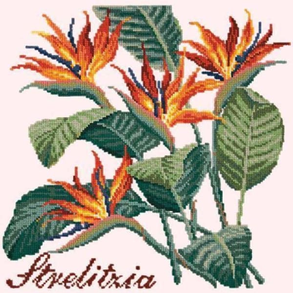 Strelitzia (Bird of Paradise) - NEEDLEWORK KITS