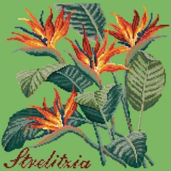 Strelitzia (Bird of Paradise) - NEEDLEWORK KITS