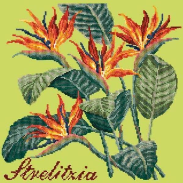 Strelitzia (Bird of Paradise) - NEEDLEWORK KITS
