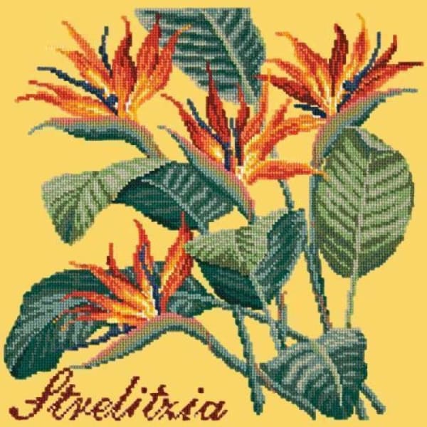 Strelitzia (Bird of Paradise) - NEEDLEWORK KITS