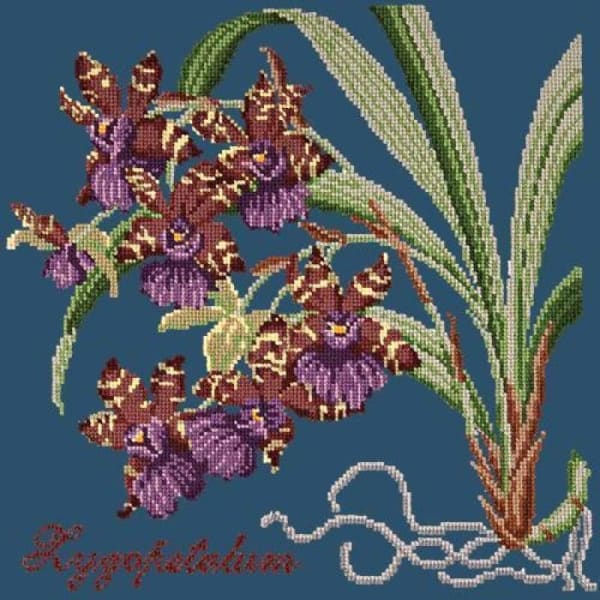 Zygopetalum (Ladybird Orchid) - NEEDLEWORK KITS
