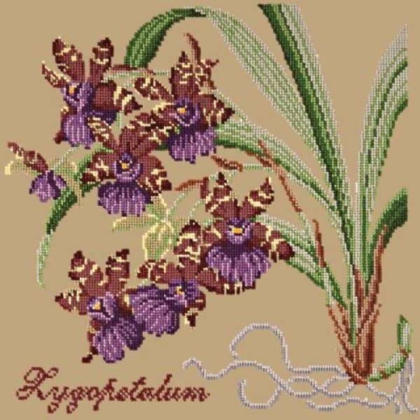 Zygopetalum (Ladybird Orchid) - NEEDLEWORK KITS