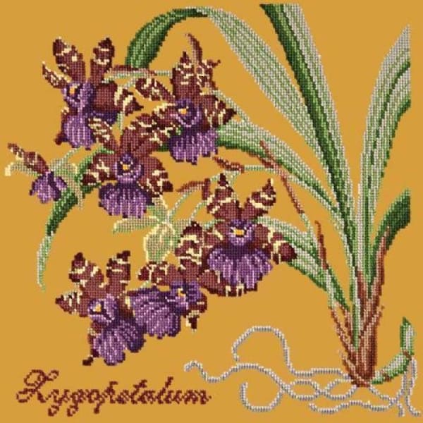 Zygopetalum (Ladybird Orchid) - NEEDLEWORK KITS