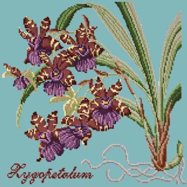 Zygopetalum (Ladybird Orchid) - NEEDLEWORK KITS