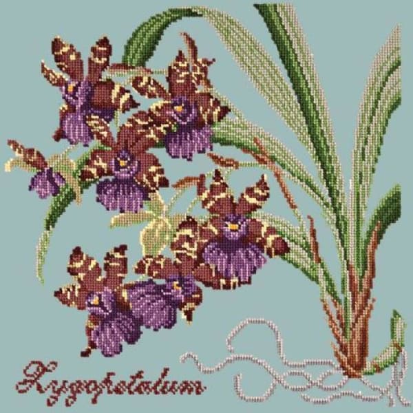 Zygopetalum (Ladybird Orchid) - NEEDLEWORK KITS