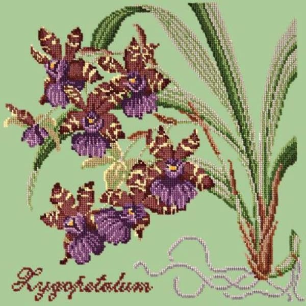 Zygopetalum (Ladybird Orchid) - NEEDLEWORK KITS