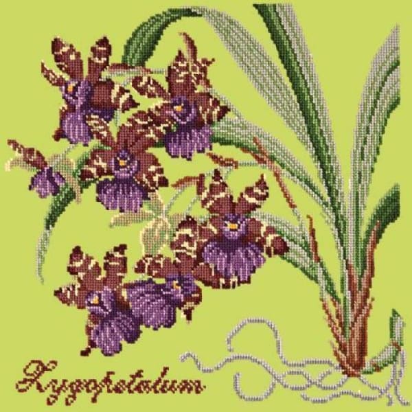 Zygopetalum (Ladybird Orchid) - NEEDLEWORK KITS