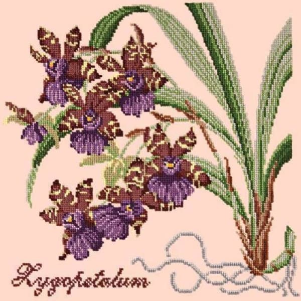 Zygopetalum (Ladybird Orchid) - NEEDLEWORK KITS