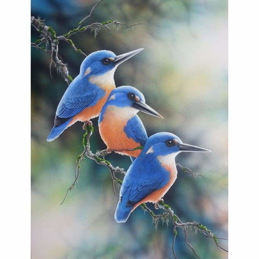 Azure Kingfishers Kit
