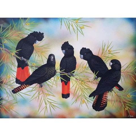 Black Cockatoos Kit