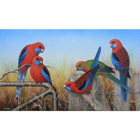 Crimson Rosellas Kit