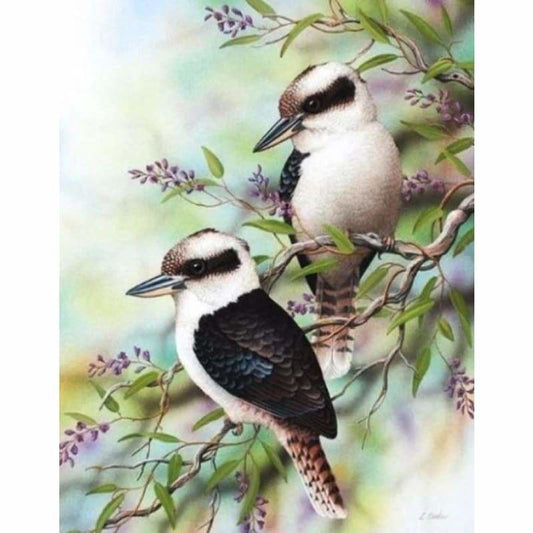 Kookaburra Kit