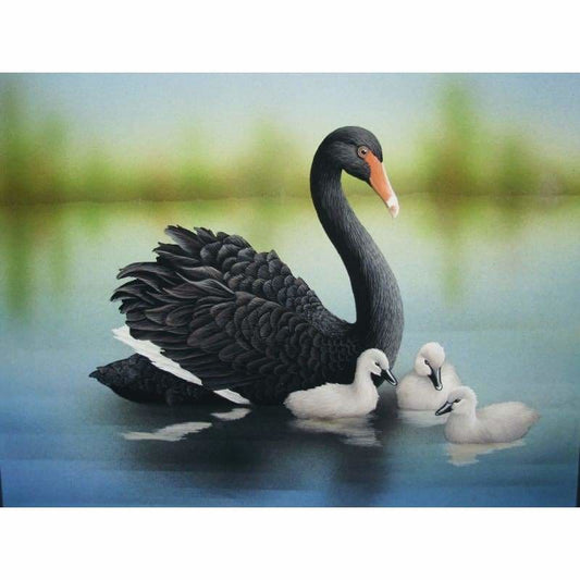 Swan & Cygnets Kit