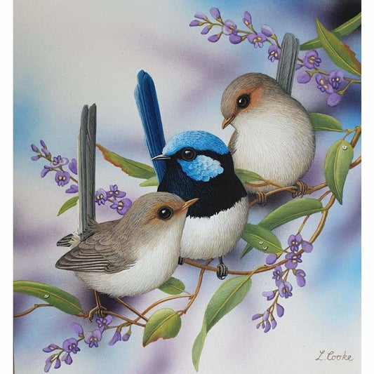Wrens & Hardenbergia Kit