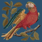 Alister the Parrot - NEEDLEWORK KITS
