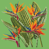 Bird of Paradise - NEEDLEWORK KITS