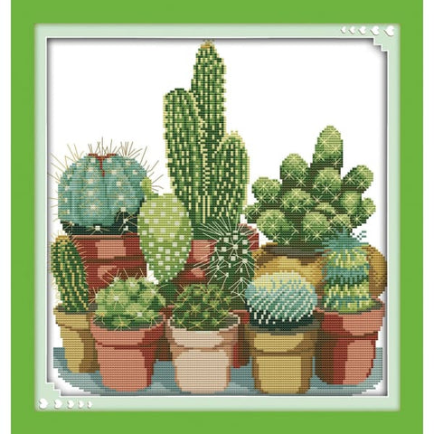 Cactuses (2)