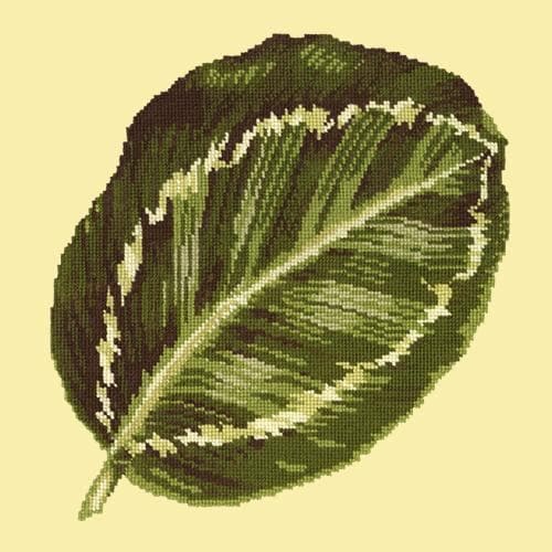 Calathea Leaf - NEEDLEWORK KITS