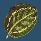 Calathea Leaf - NEEDLEWORK KITS