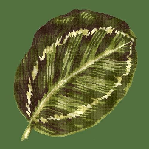 Calathea Leaf - NEEDLEWORK KITS