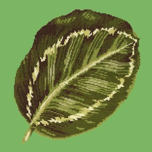 Calathea Leaf - NEEDLEWORK KITS