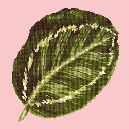 Calathea Leaf - NEEDLEWORK KITS