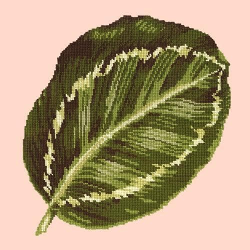 Calathea Leaf - NEEDLEWORK KITS