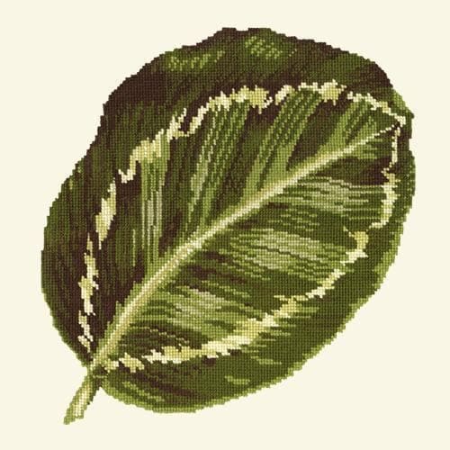 Calathea Leaf - NEEDLEWORK KITS
