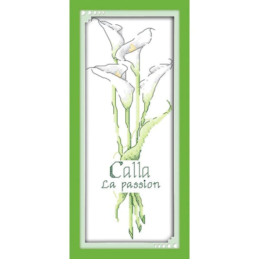 Calla (3)