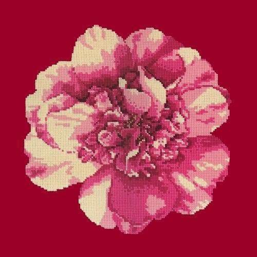 Camellia Blossom - NEEDLEWORK KITS