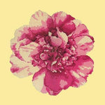 Camellia Blossom - NEEDLEWORK KITS