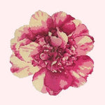 Camellia Blossom - NEEDLEWORK KITS