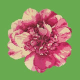 Camellia Blossom - NEEDLEWORK KITS