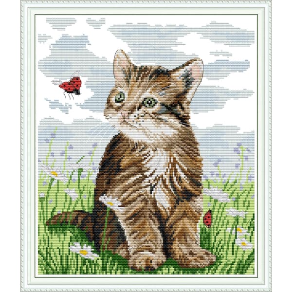 Cat and ladybird