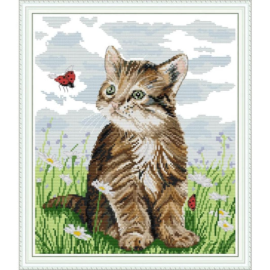 Cat and ladybird