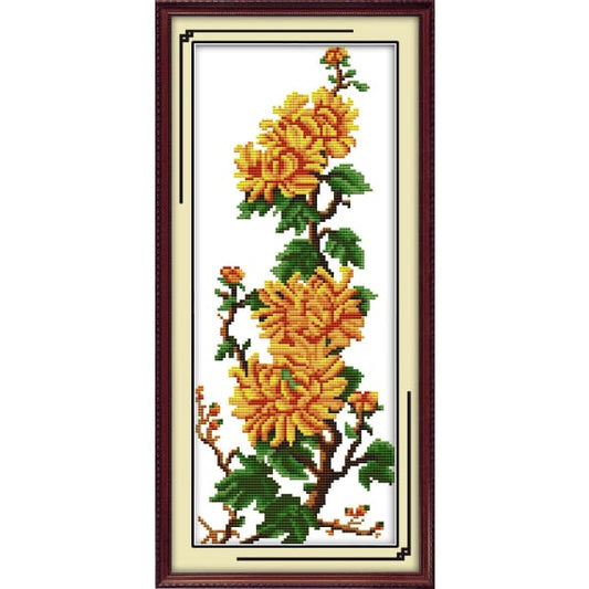 Chrysanthemum(1)