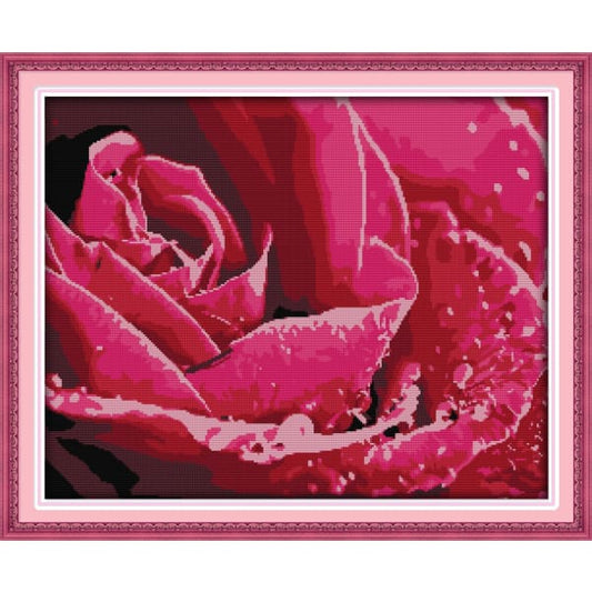 Dewdrop rose