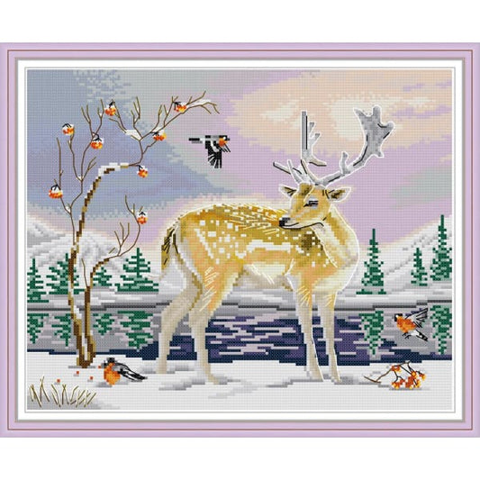Elk and birds