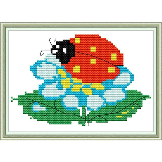 Ladybug