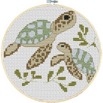 Little turtle looking for mom - 11CT / 22×20