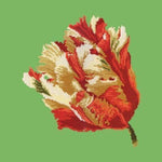 Parrot Tulip - NEEDLEWORK KITS