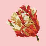 Parrot Tulip - NEEDLEWORK KITS