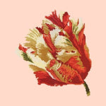 Parrot Tulip - NEEDLEWORK KITS