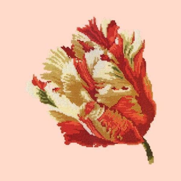Parrot Tulip - NEEDLEWORK KITS