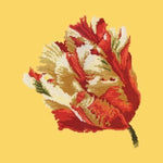 Parrot Tulip - NEEDLEWORK KITS
