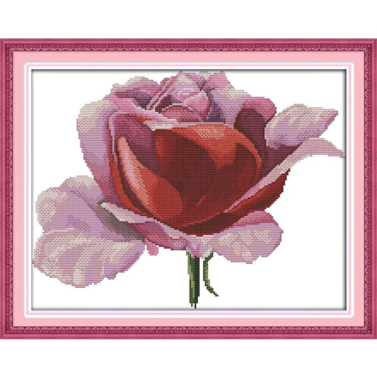 Pink rose