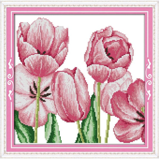 Pink tulips (4)