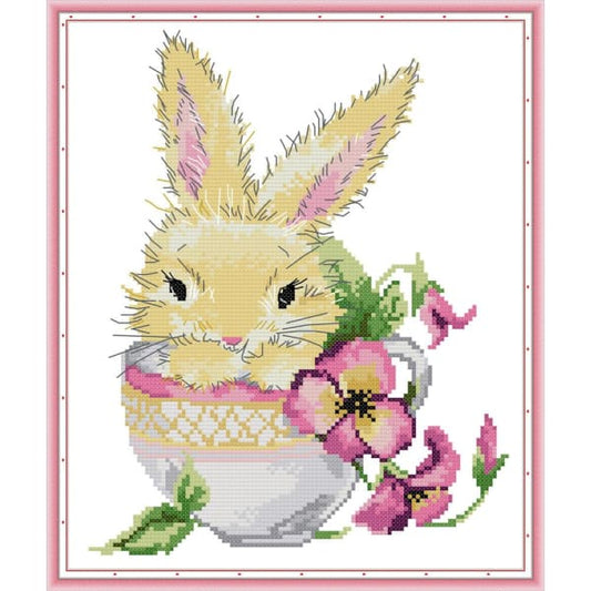 Rabbit in the cup