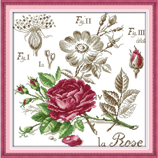 Roses