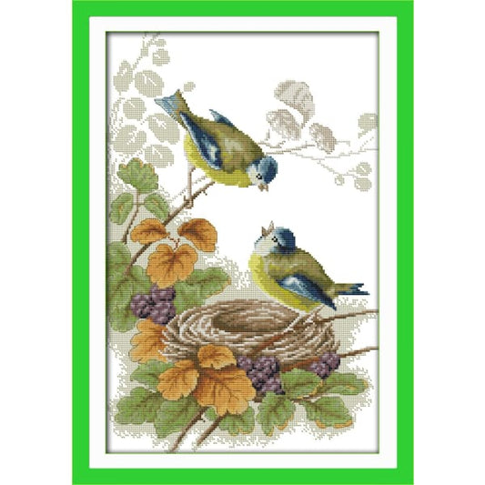 Spring birds